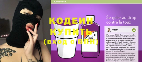 стафф Гусев