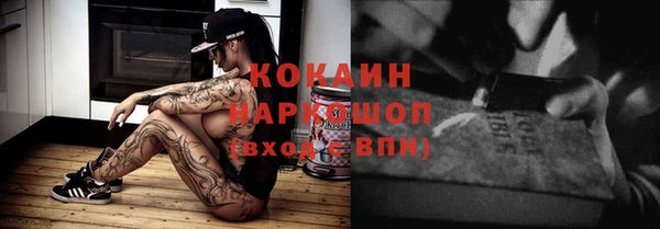 стафф Гусев
