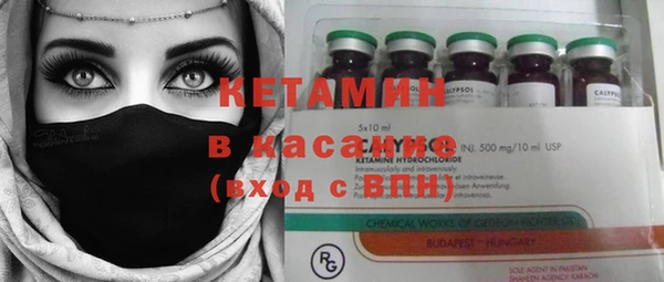 стафф Гусев