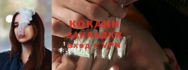 стафф Гусев