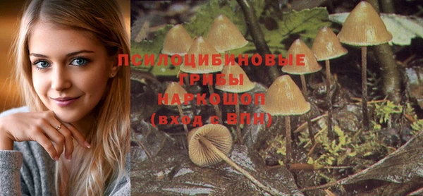 стафф Гусев