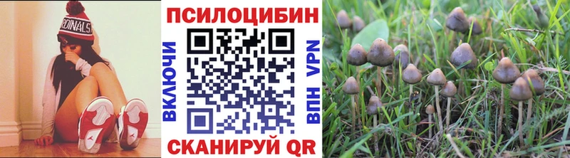 Галлюциногенные грибы мухоморы  Купить закладки  Маркс 